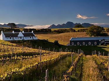 Aaldering Vineyards And Wines Luxury Lodges Stellenbosch Kültér fotó